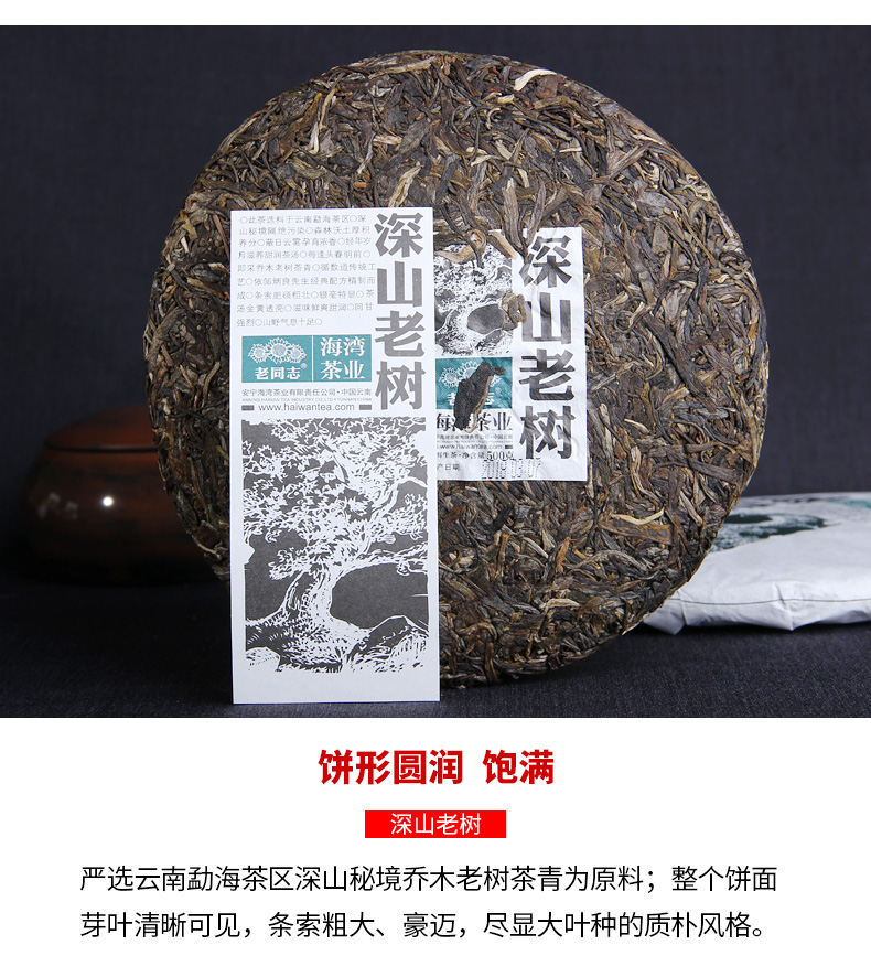 普洱生茶,深山老树饼茶500克(图3) 普洱生茶,深山老树饼茶500克(图3)