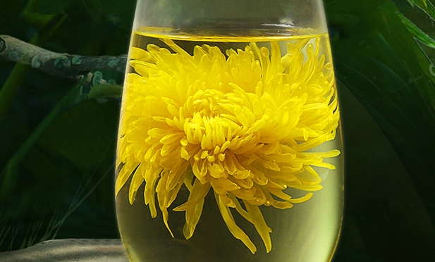 女性必知的4大花茶功效(图2) 1-200H91Z31S44.jpg