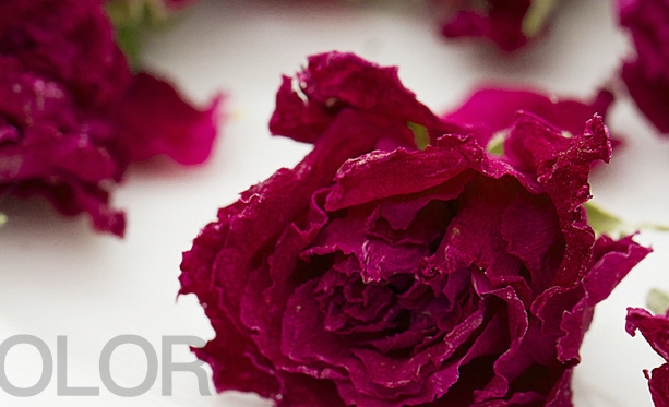 女性必知的4大花茶功效(图1) 1-200H91Z30N20.jpg