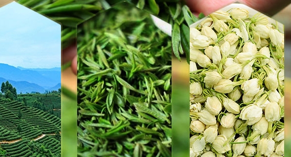 女性必知的4大花茶功效(图4) 1-200H91Z33S42.jpg